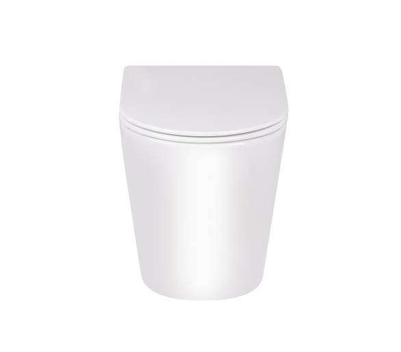 Вуличний туалет Qtap SWAN без обода з сидінням Soft-close QT16223178W
