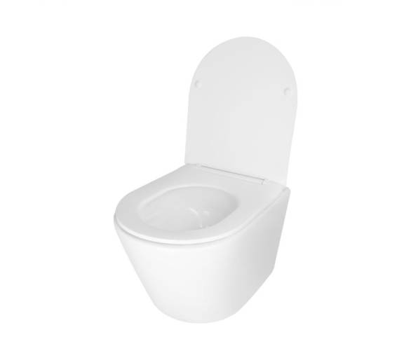 Унитаз Swan подвесной Ultra Quiet с сиденьем Soft-close