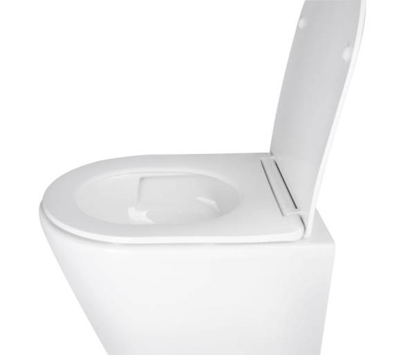 Унитаз Swan подвесной Ultra Quiet с сиденьем Soft-close